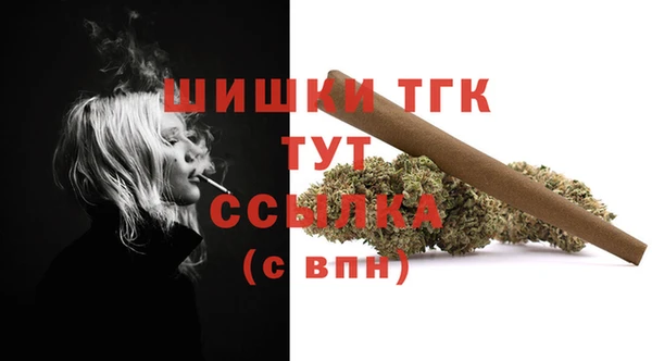 PSILOCYBIN Строитель