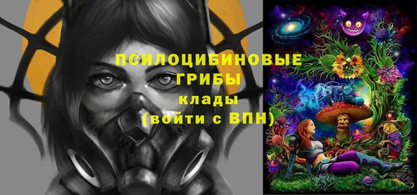 PSILOCYBIN Строитель