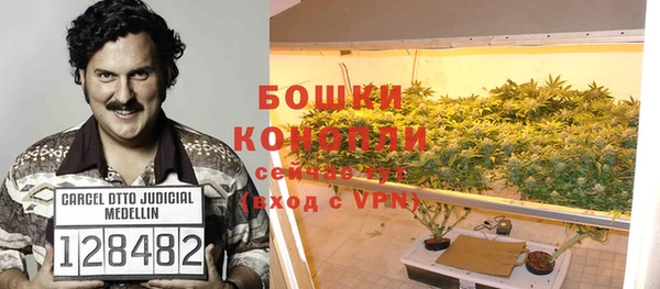 PSILOCYBIN Строитель