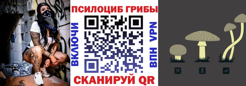 Галлюциногенные грибы MAGIC MUSHROOMS  Купить  Кемь 